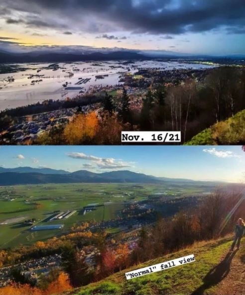 Abbotsford before n after