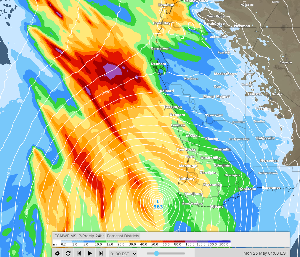 Image: Forecast accumulated 24-hour rainfall and mean sea level pressure on Sunday night, according to the ECMWF-HRES model.
