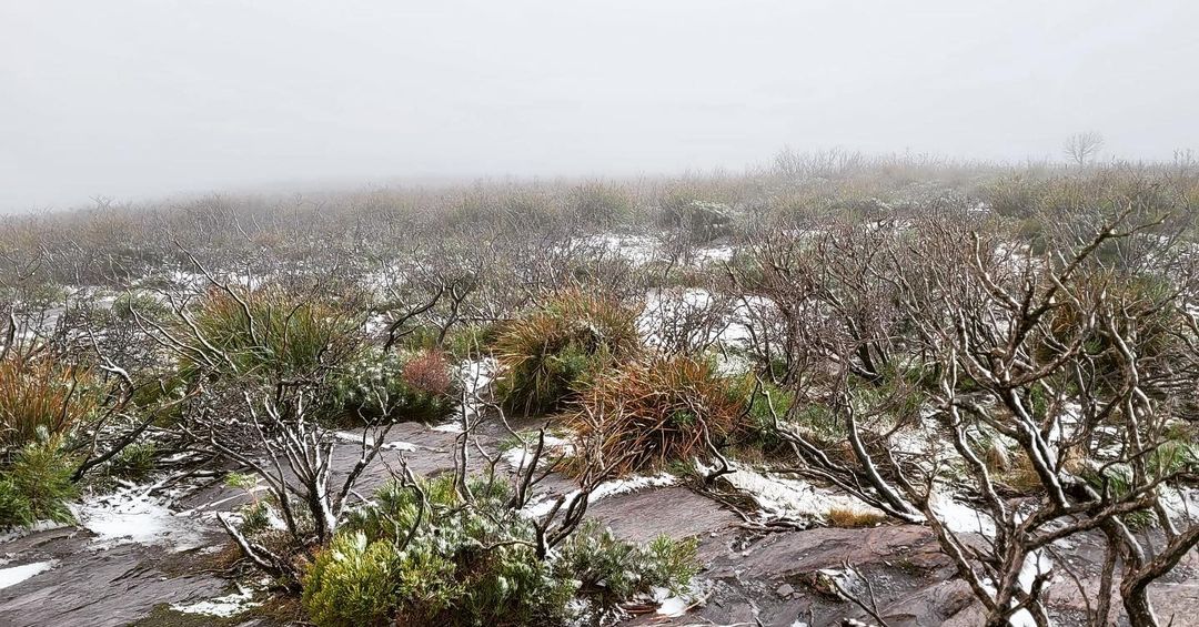 It’s not your classic winter wonderland landscape, but that’s definitely light snow (not hail) on the ground near the summit of Bluff Knoll. Source: Steve Sertis, Bibbulmun Track Foundation on Instagram