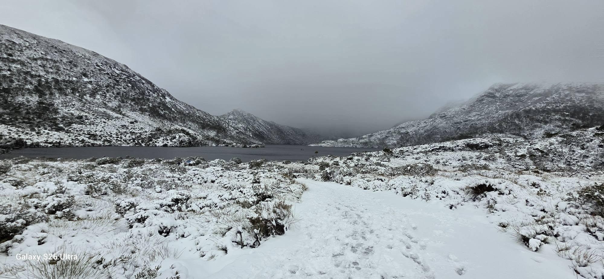 A snowy scene in the vicinity of Cradle Mountain (the mountain itself was obscured by cloud) on July 23, 2026. Source: @damobozo / Threads