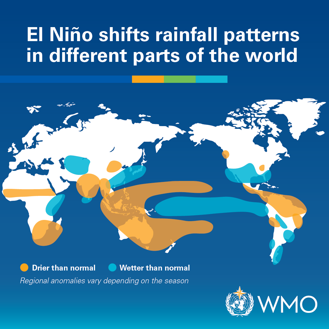 Typical rainfall anomalies seen during El Niño. Source: WMO.