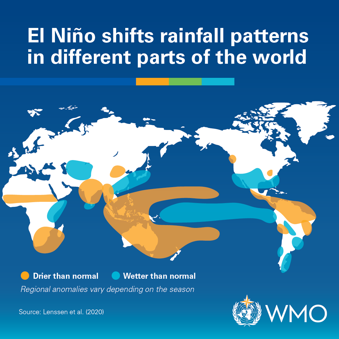 Typical global rainfall impacts from El Niño. Source: WMO.