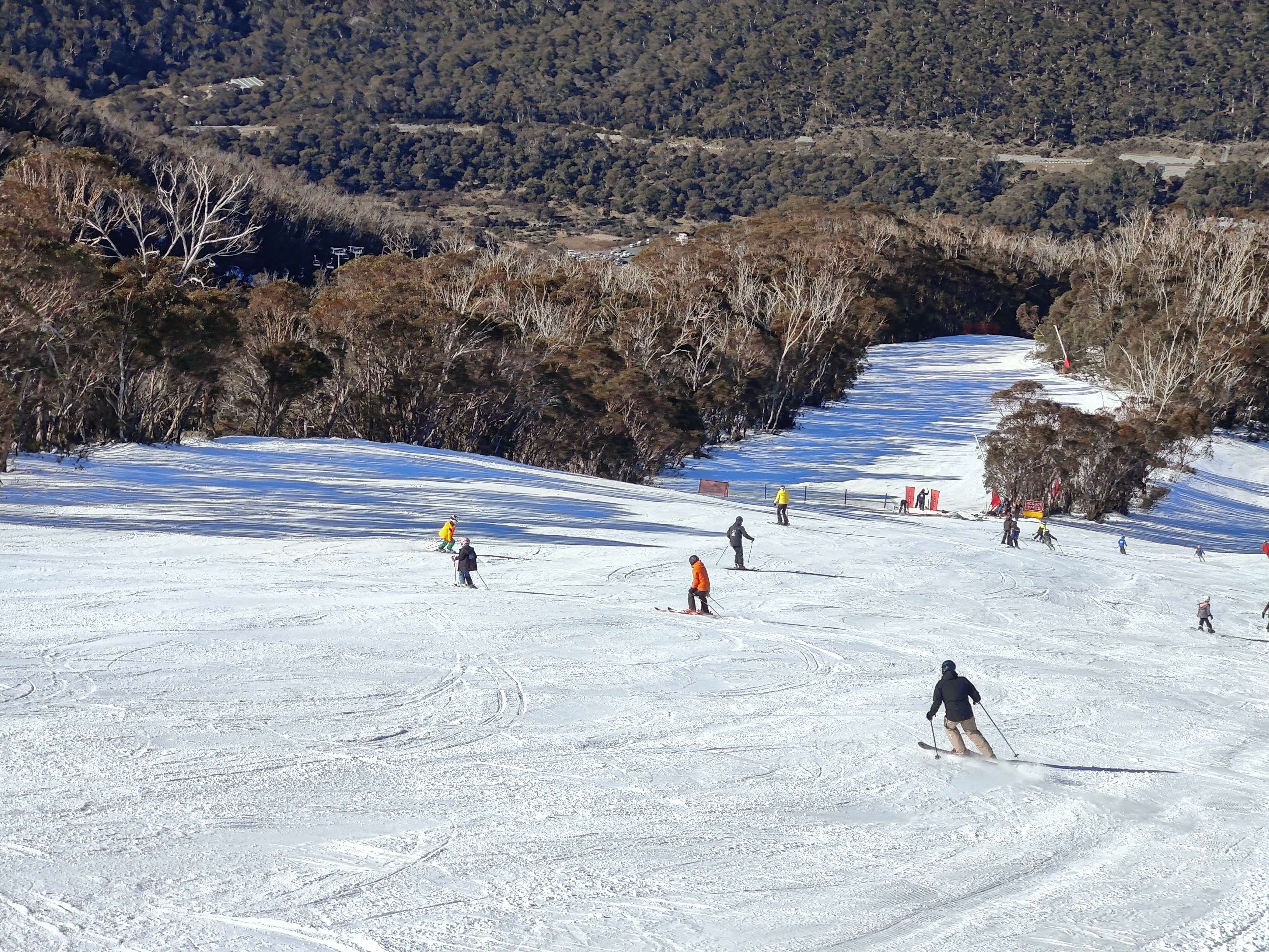 Skiers on the High Noon run at Thredbo in mid-July with a snow base heavily augmented by snowmaking and the valley bare of snow. Source: Rusty J.