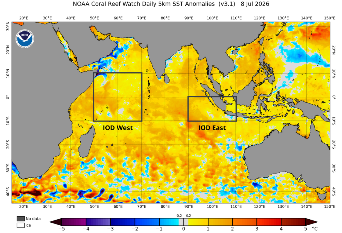 Daily sea surface temperature anomalies in the Indian Ocean on July 8, 2026. Anomalies are roughly equal in the IOD West and IOD East regions, meaning the IOD is in a neutral phase. Source: NOAA.