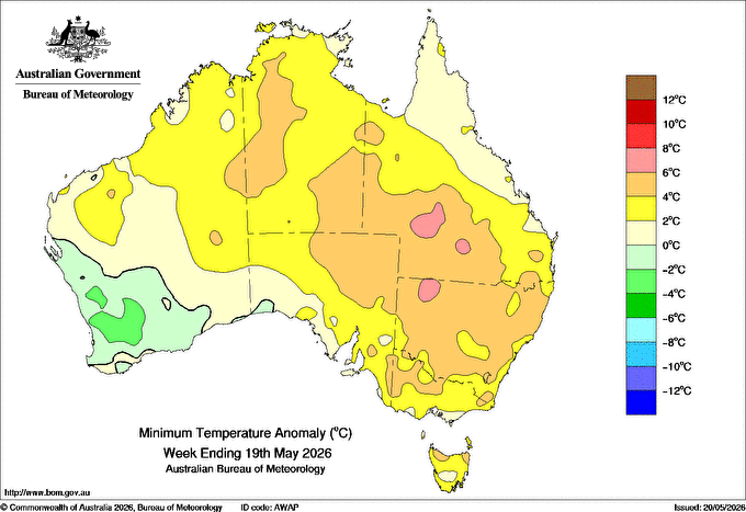 Minimum temperature anomalies for Australia for the week ending May 19, 2026. Canberra is far from the only spot which has been warmer than usual. Source: BoM