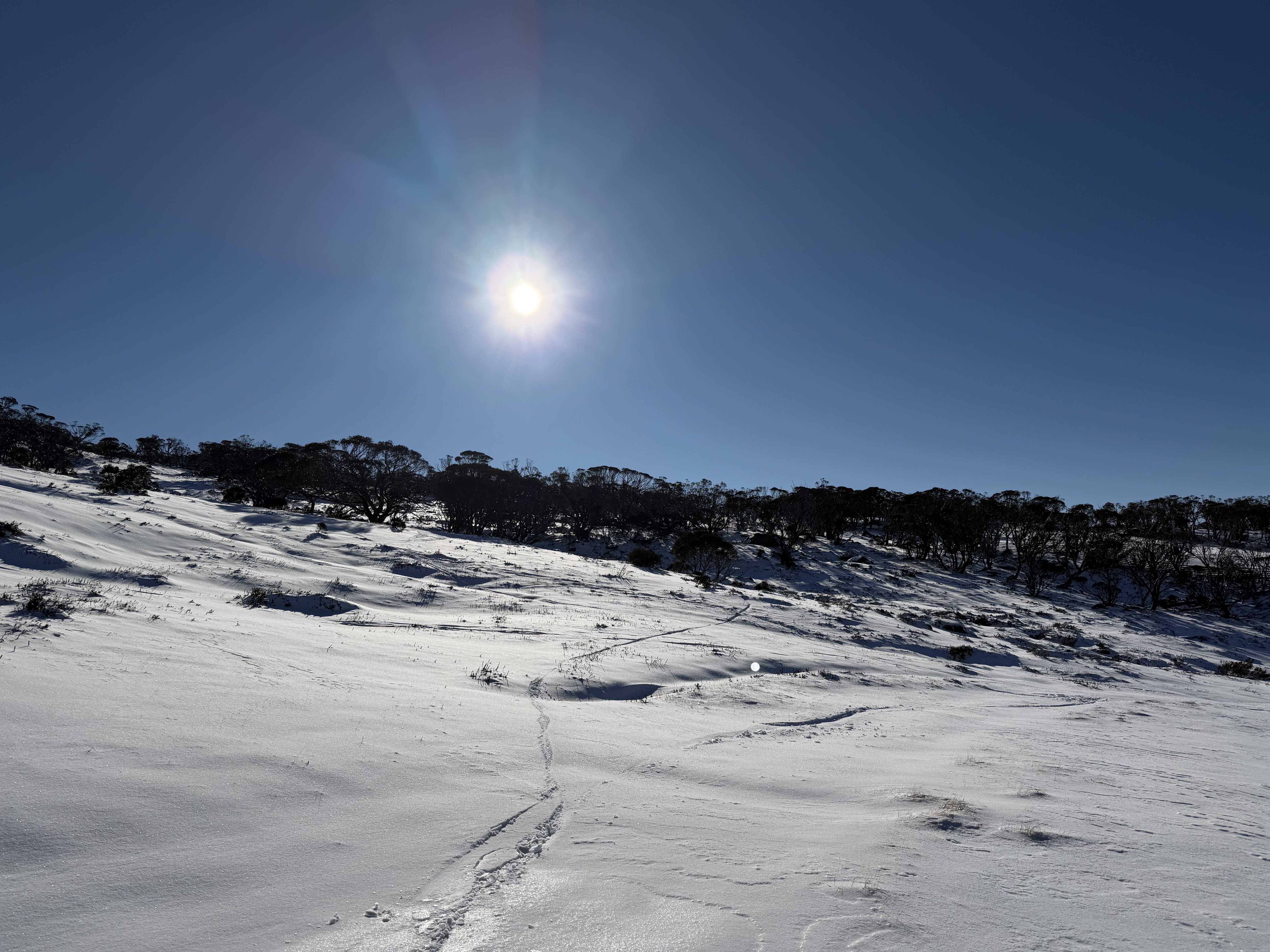 Sunny skies at Perisher on July 7, 2026. Source: Steve Smith