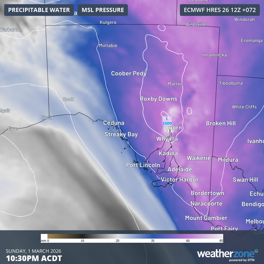 Forecast precipitable water levels (atmospheric moisture available for rainfall) and mean sea level pressure for Sunday, March 1, 2026, showing the low centred near Port Augusta. Source: Weatherzone.