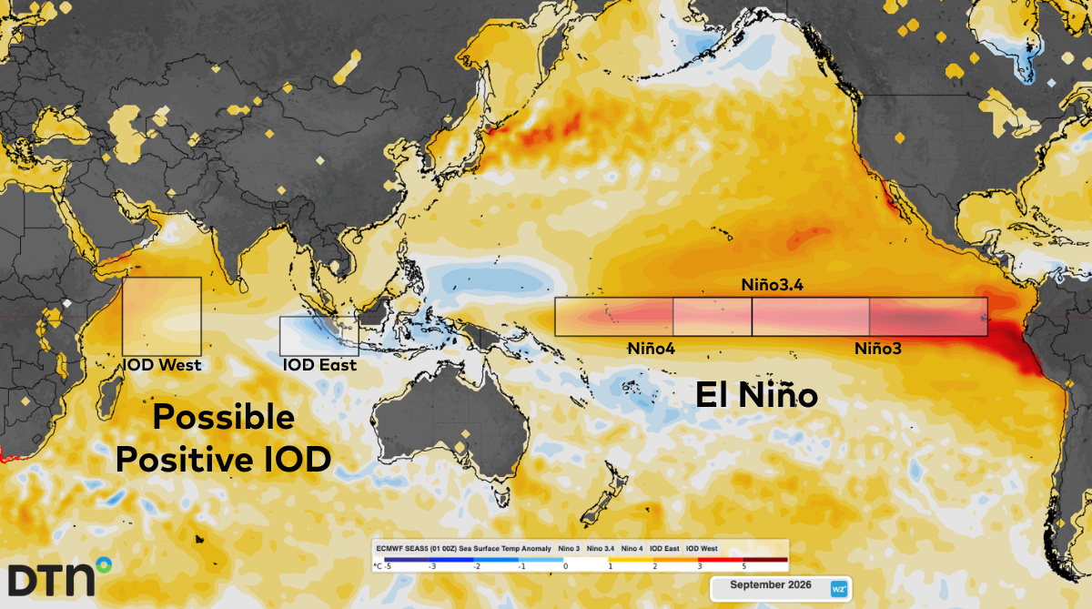 Sea Surface Temperature Anomaly forecasts across the Indian and Pacific oceans during September 2026, showing the strong El Niño and possible positive IOD events. Source: DTN
