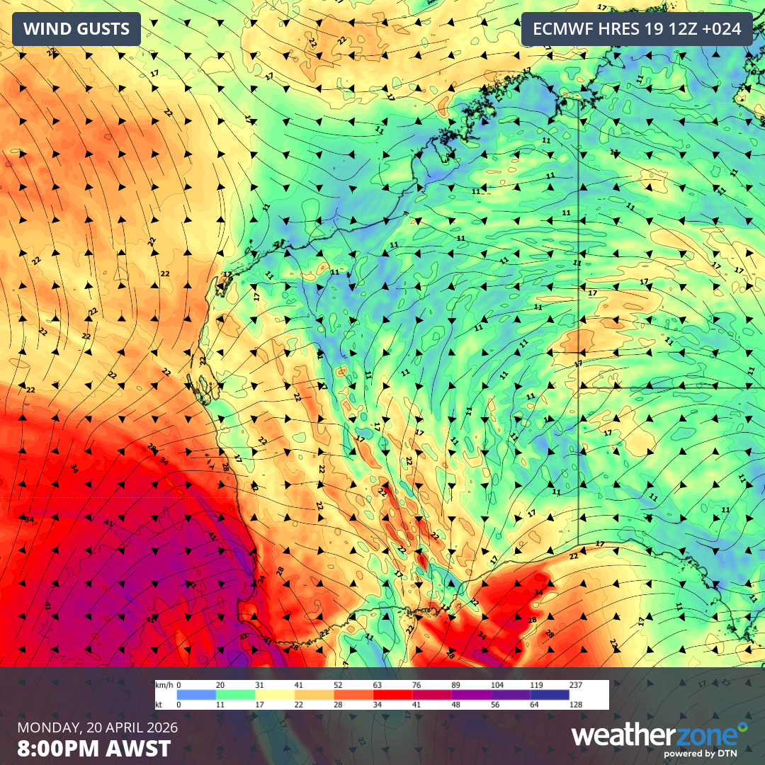 Predicted peak wind gusts at 8pm (AWST) for Western Australia on Monday, April 20, 2026, according to the ECMWF model. Source: Weatherzone.