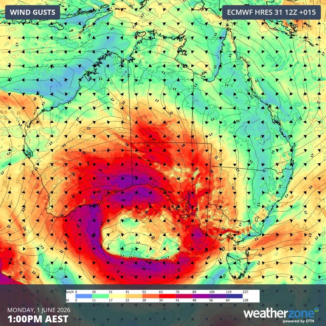 Forecast wind gusts at 1 pm AEST on Monday, June 1, 2026. Source: Weatherzone.