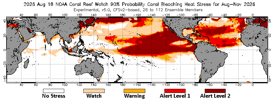 Probability of coral bleaching in the next four months. Source: NOAA.