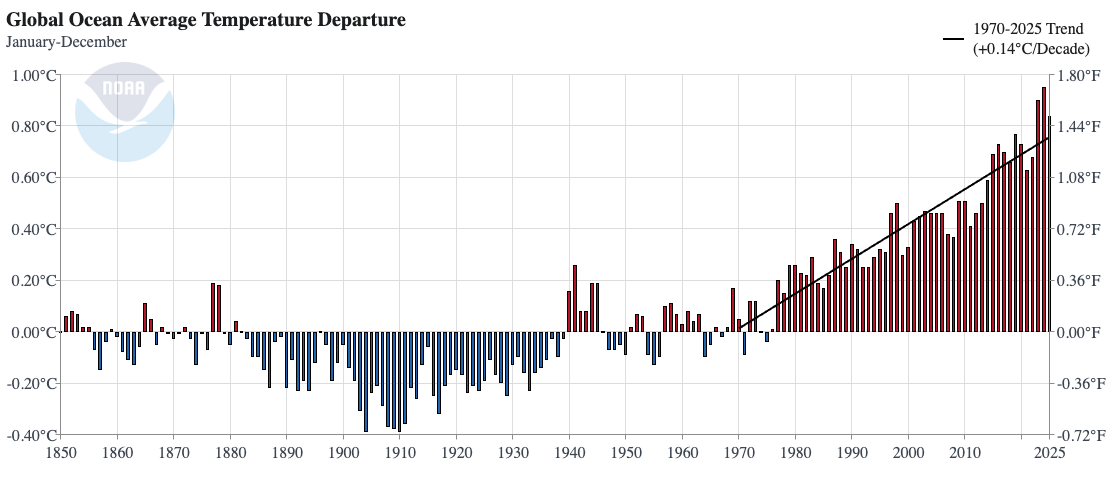 Global ocean annual average temperature anomalies, relative to the 1901-2000 climate. The trend for the period from 1970 to 2025 is shown, during which time the temperature rose by 0.14°C per decade. Source: NOAA NCEI, Climate at a Glance / NOAAGlobalTemp