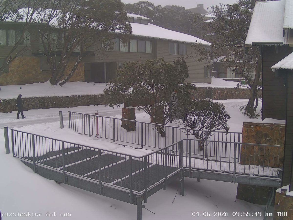 Fresh snow at Mt Buller on June 4, 2026. Source: ski.com.au