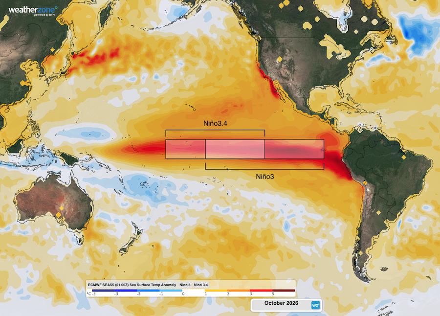 Forecast sea surface temperature anomalies in the Pacific Ocean in October 2026, according to the ECMWF SEAS5 model. Source: Weatherzone.