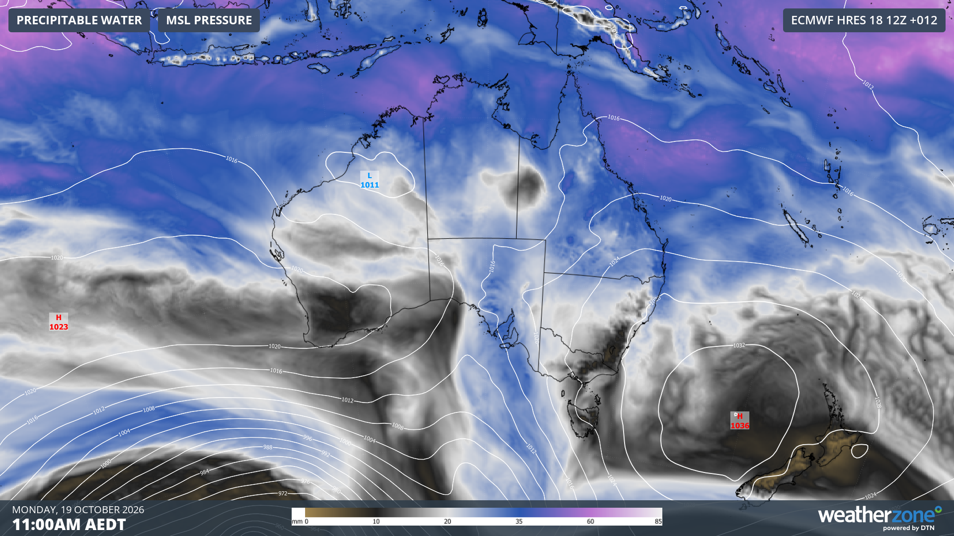 Modelled mean sea level and precipitable water at 11 am AEDT on Monday, October 19, 2026, showing a high pressure system centred above the Tasman Sea.