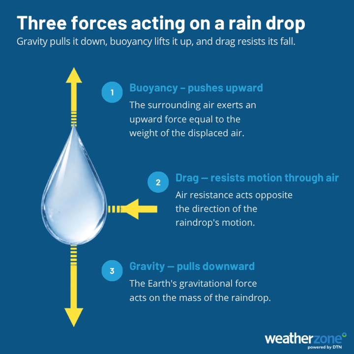 Three main forces acting on rain drops and cloud droplets. Source: Weatherzone.