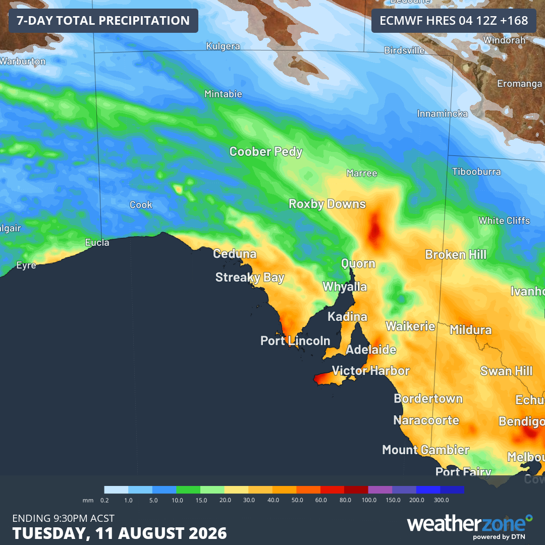 Predicted rainfall totals across South Australia up until Tuesday, August 11, 2026, according to the ECMWF model. Source: Weatherzone.