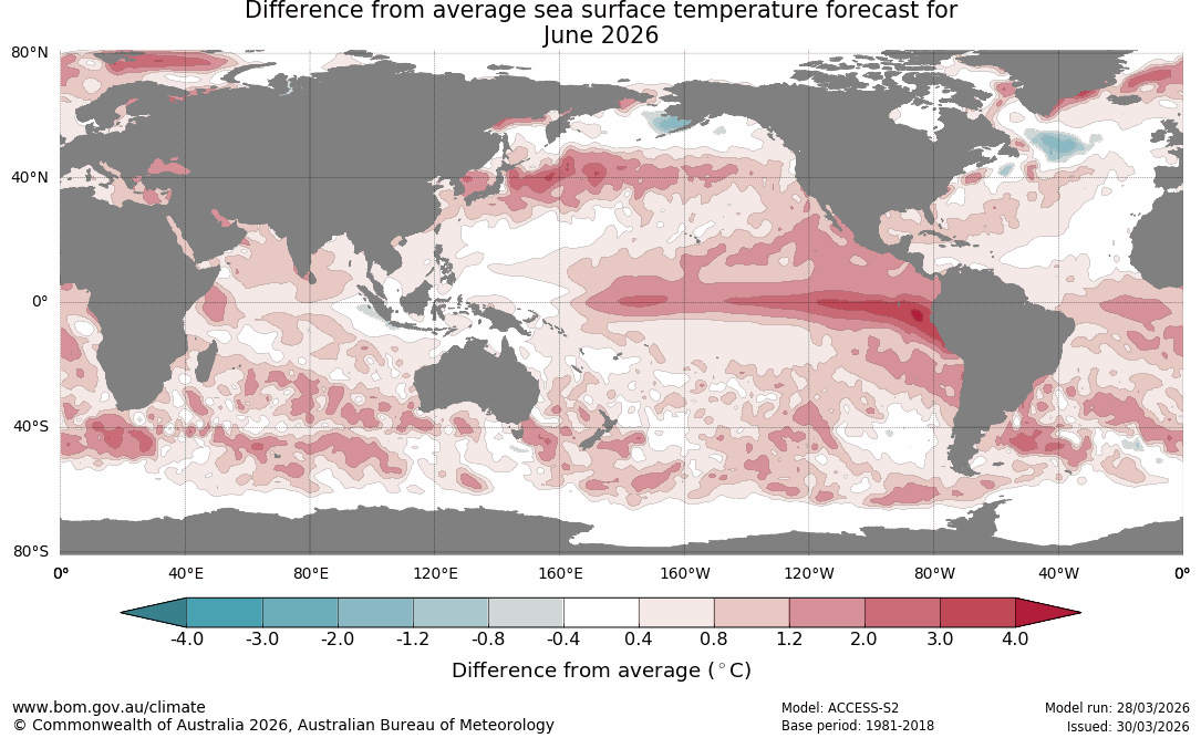 Forecast sea surface temperature anomalies in June 2026, showing a tongue of abnormally warm water in the central and eastern tropical Pacific Ocean, which is a clear sign of El Niño. Source: Bureau of Meteorology.