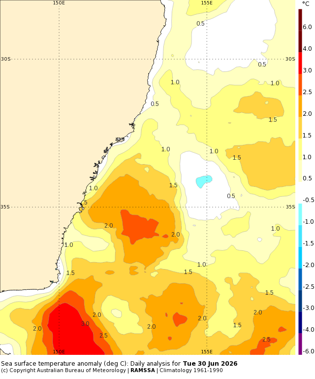 Sea surface temperature anomalies in the Tasman Sea on June 29, 2026. Source: Bureau of Meteorology.
