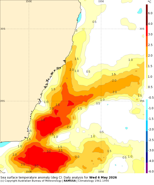 Sea surface temperature anomalies in the Tasman Sea on Wednesday, May 6, 2026. Source: Bureau of Meteorology.