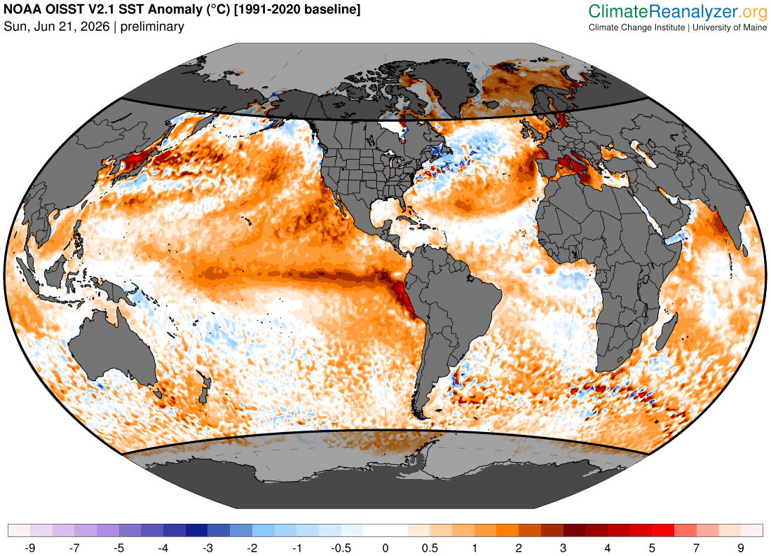 Global sea surface temperature anomalies on Sunday, June 21, 2026, according to the NOAA OISST V2.1 dataset. The polar regions shaded in black are excluded when calculating the global average ocean temperature, primarily to exclude areas covered by sea ice.