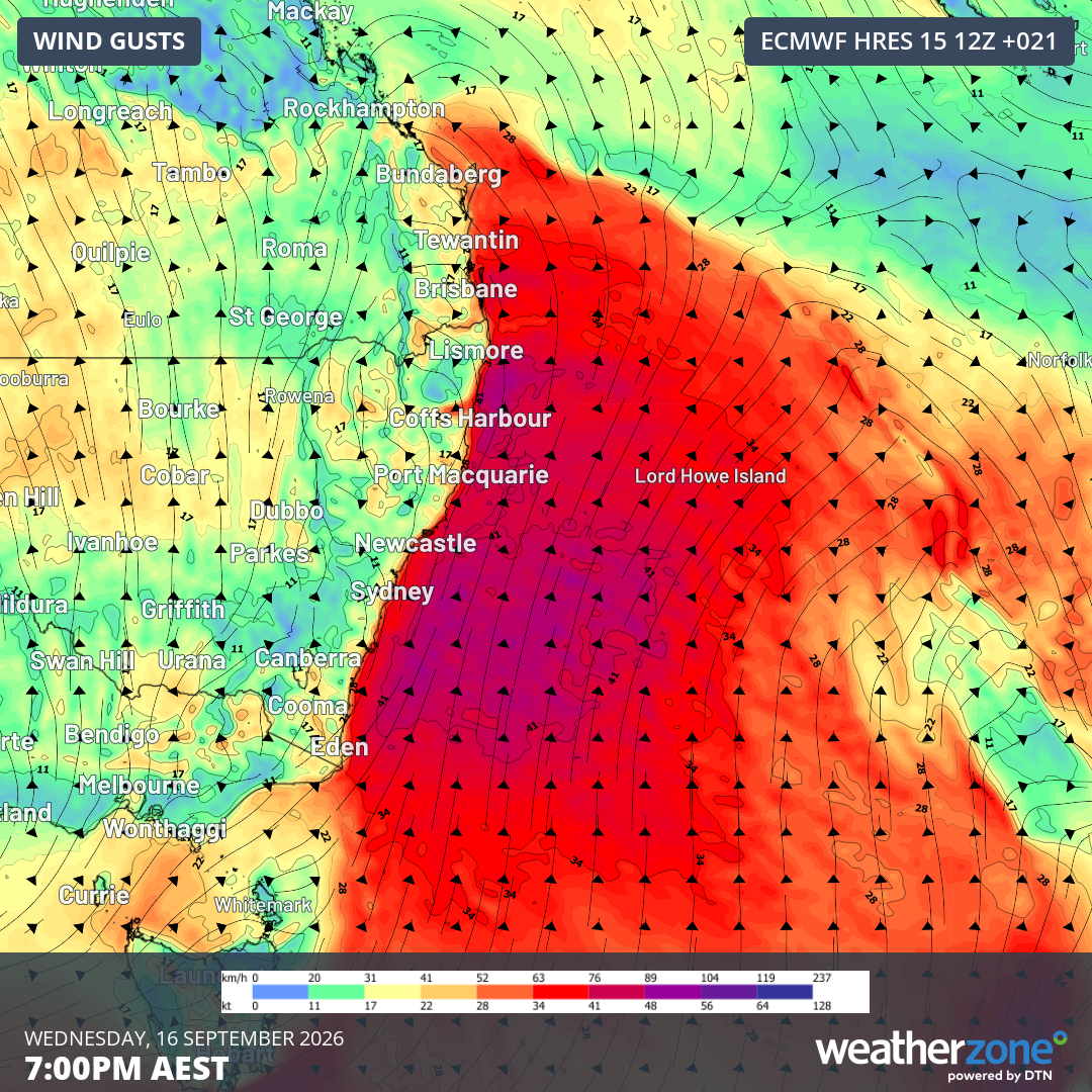 Forecast wind gusts at 7 pm AEST on Wednesday, September 16, 2026. Source: Weatherzone.