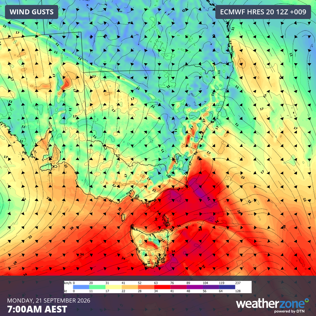 Modelled wind gusts at 7am AEST on Monday, September 21, 2026. Source: Weatherzone.