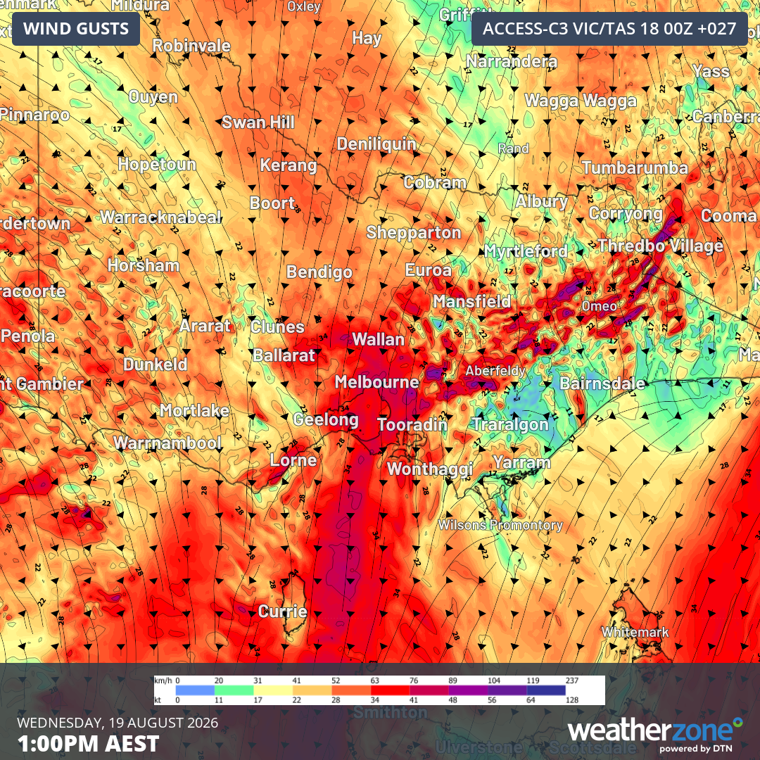 Forecast wind gusts at 1pm AEST on Wednesday, August 19, 2026. Source: Weatherzone.