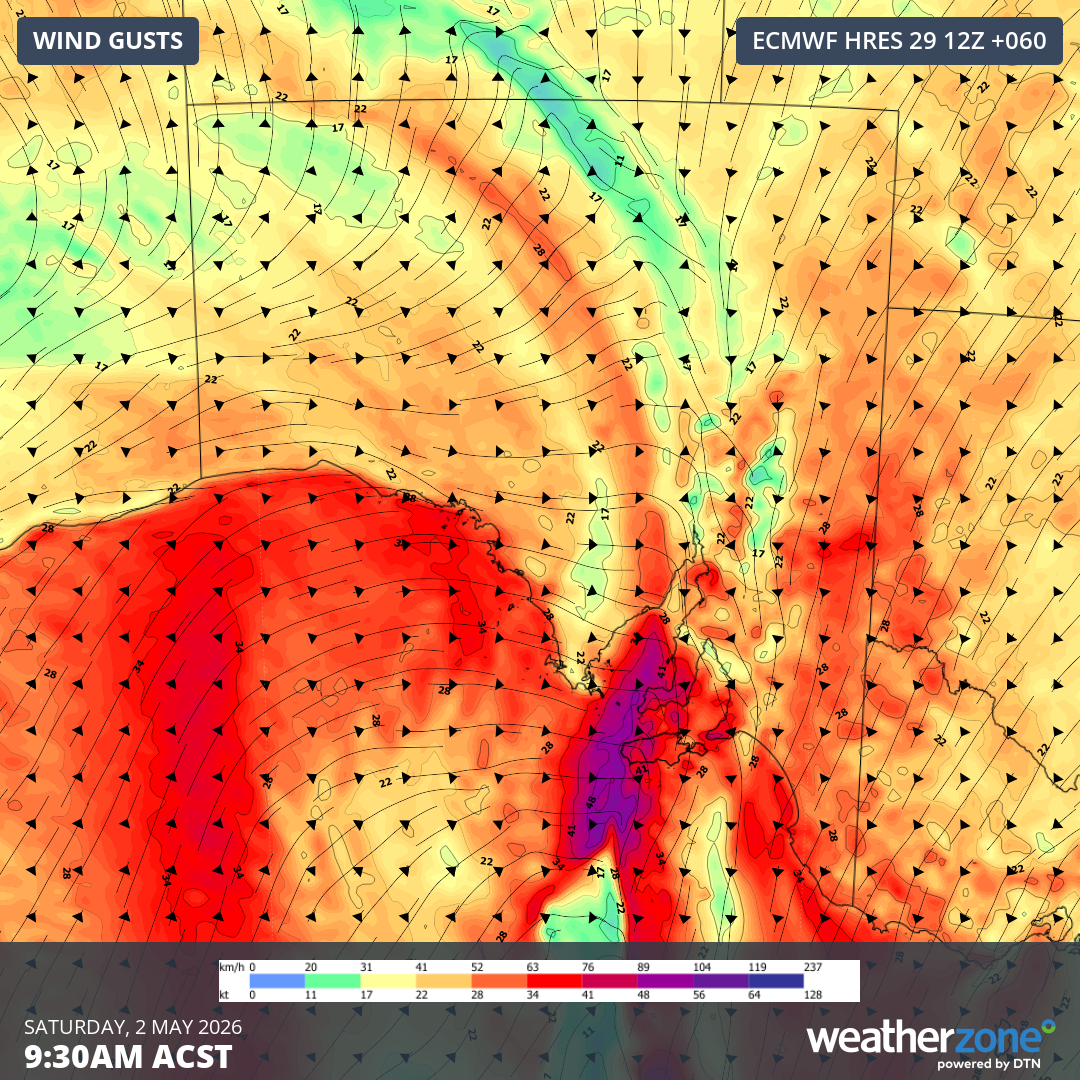 Forecast wind gusts over SA on Saturday morning. Source: Weatherzone.