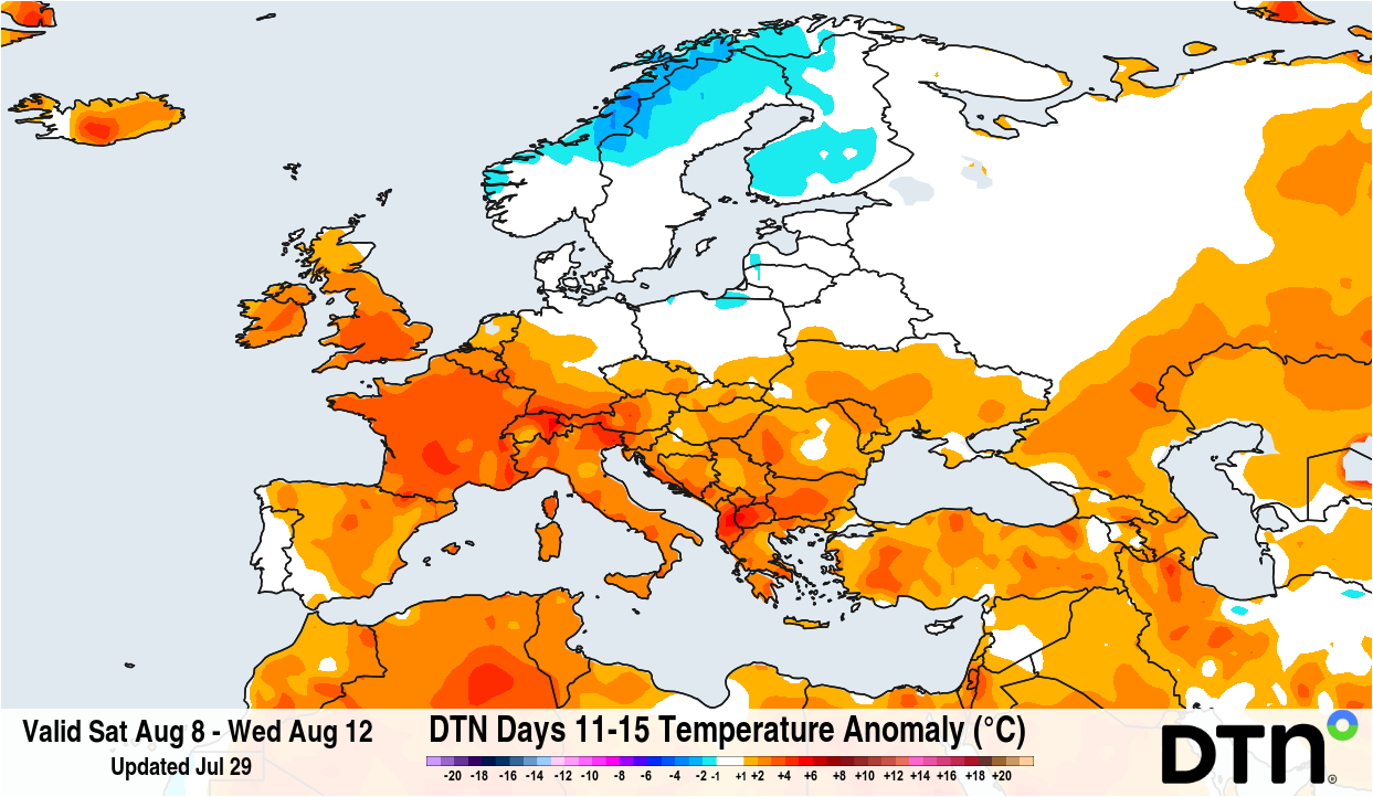 Forecast temperature anomaly for the period from August 8 to 12, 2026. Source: DTN.