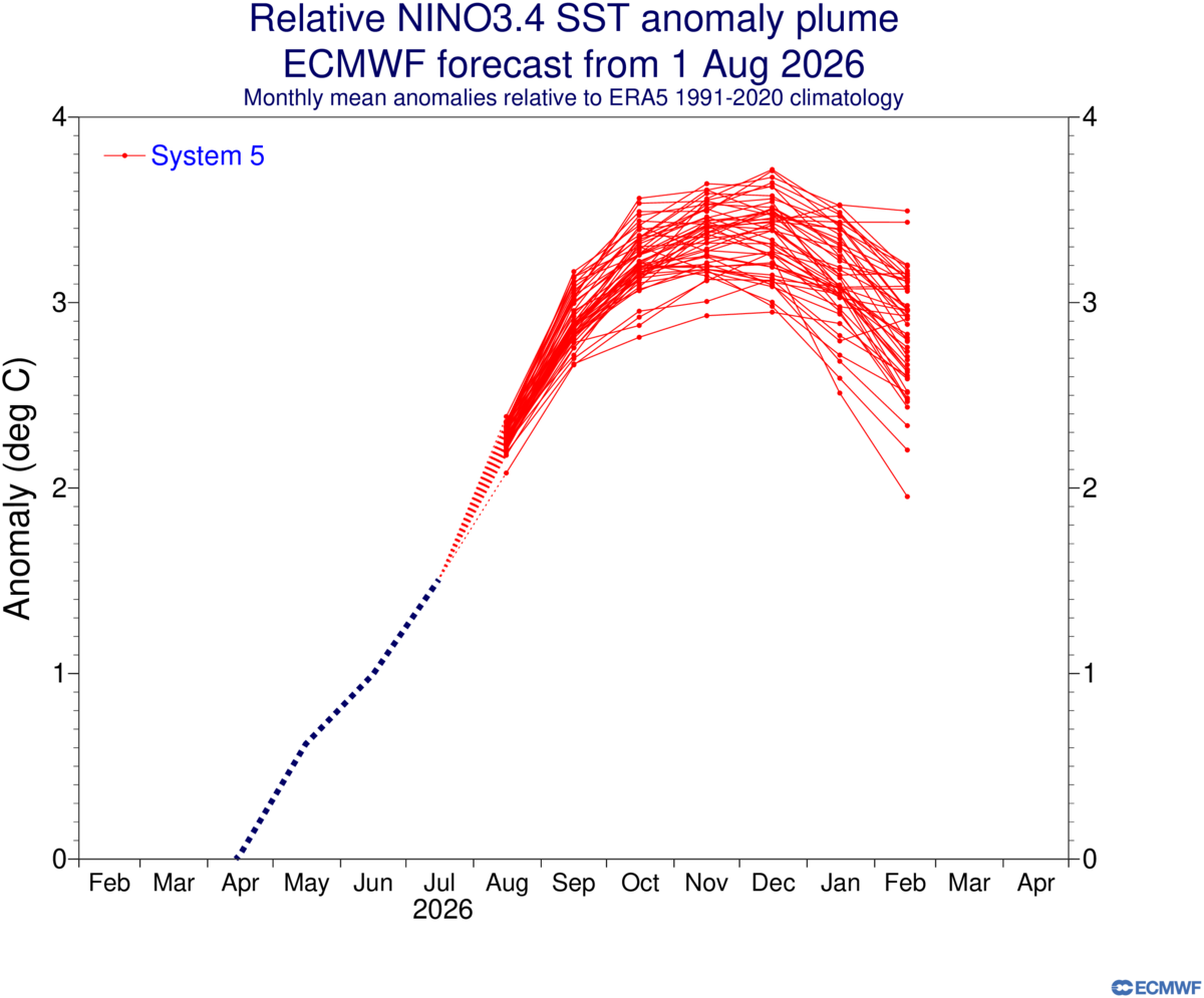 Relative Niño 3.4 outlook according to the ECMWF model. Source: ECMWF.
