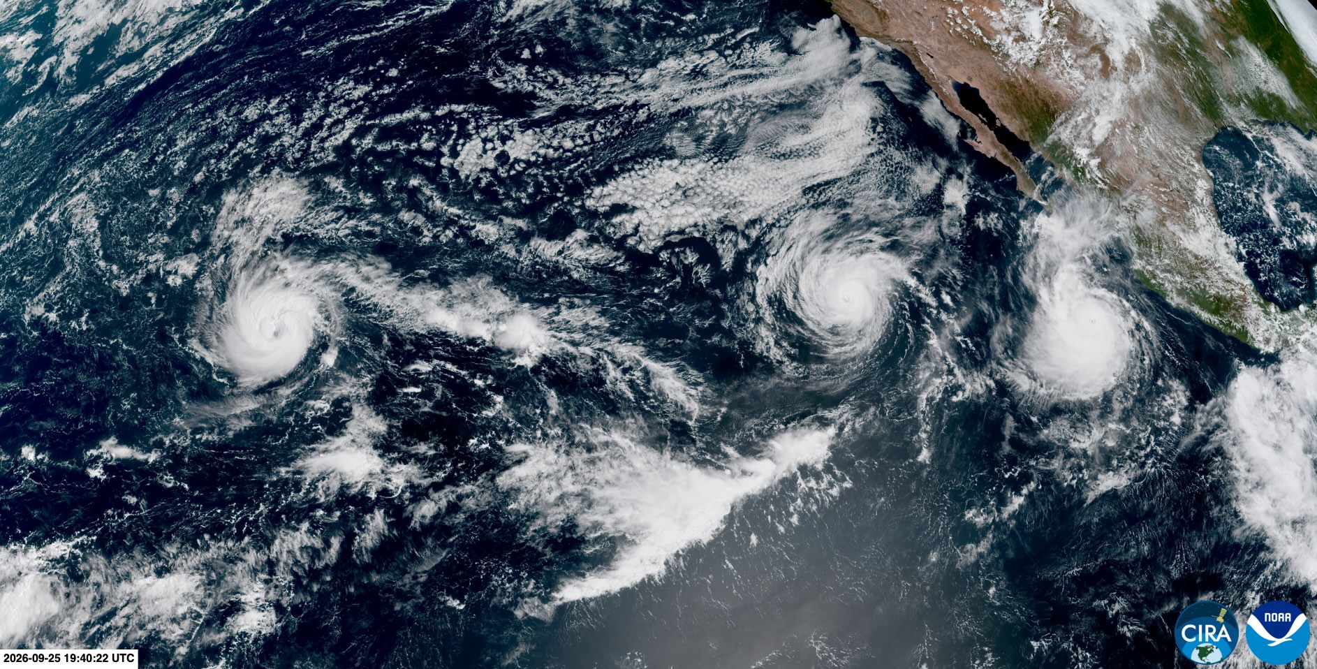 Three hurricanes – Polo, Odlays and Nolo – in the Pacific Ocean on September 25, 2026. Source: RAMMB/CIRA.