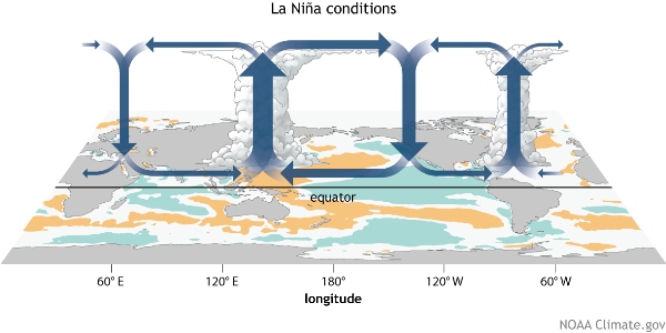 Typical changes to the Walker circulation during La Niña. Source: NOAA.