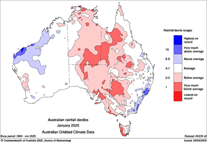 Image: rainfall deciles throughout Australia during January 2025. Source: BoM
