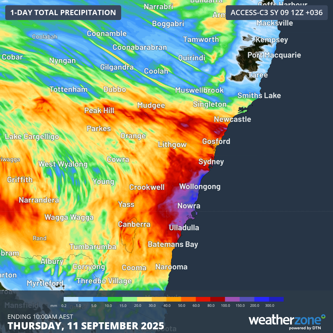 Rainfall accumulations across NSW in the 36-hours to 10am on Thursday, September 11, 2025.