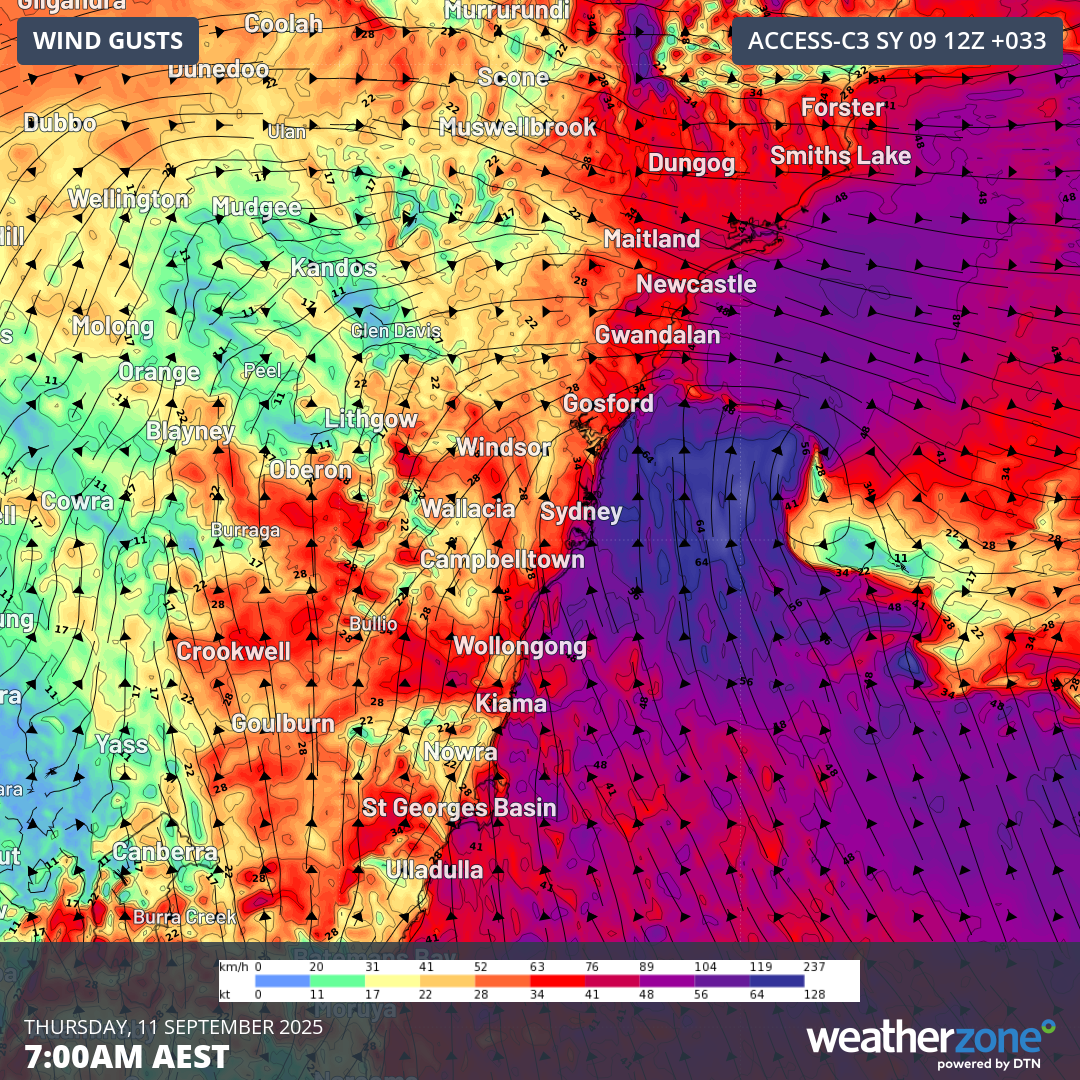 Forecast 10m wind gusts at 7am AEST on Thursday, September 11, 2025.