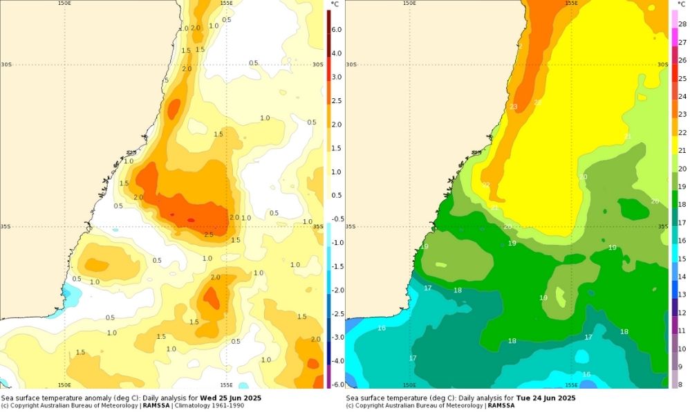 SST (left) and SST anomalies (right) off the NSW coast on June 26, 2025. Source: BoM