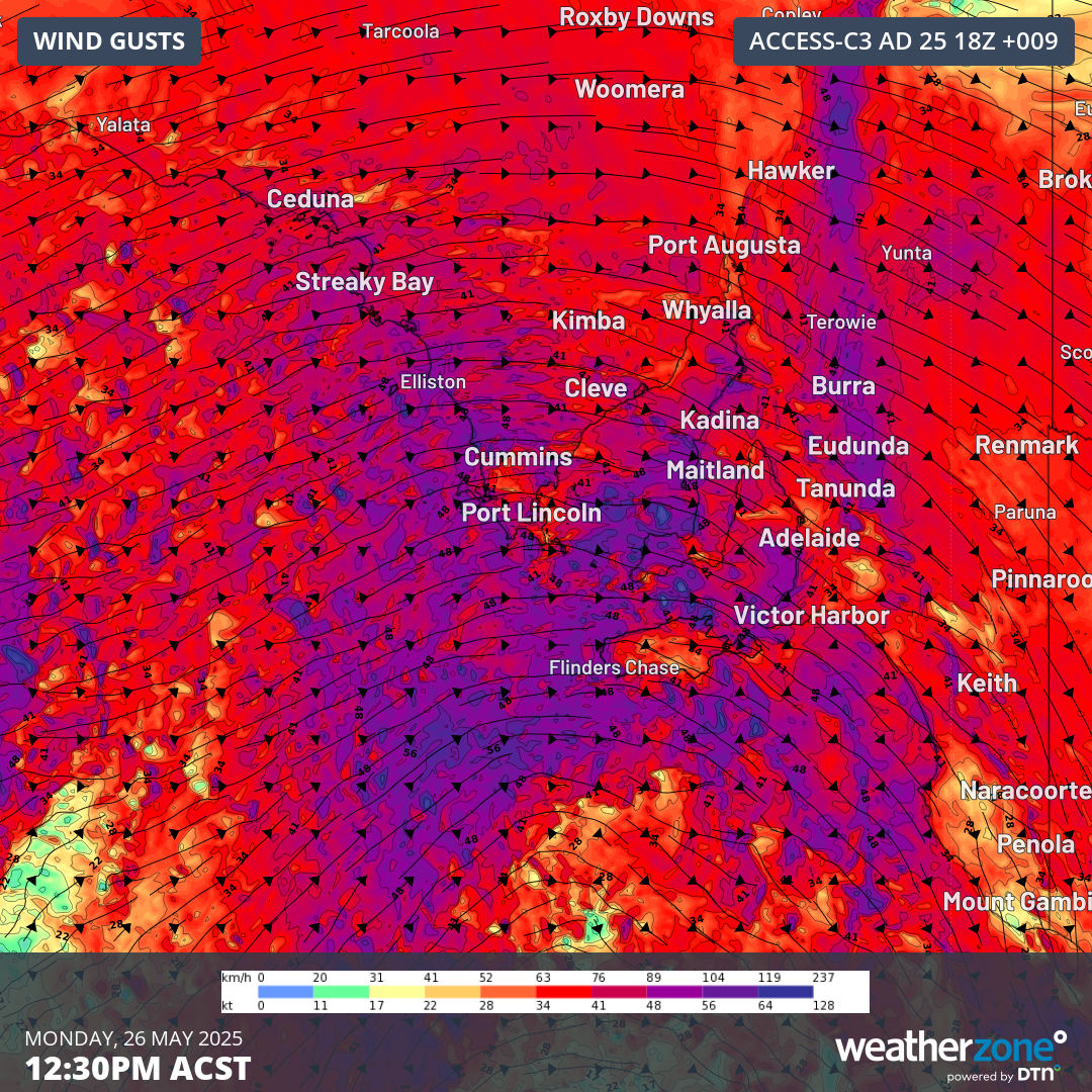Image: forecast wind gusts across South Australia at 12:30 ASCT on Monday, May 26.