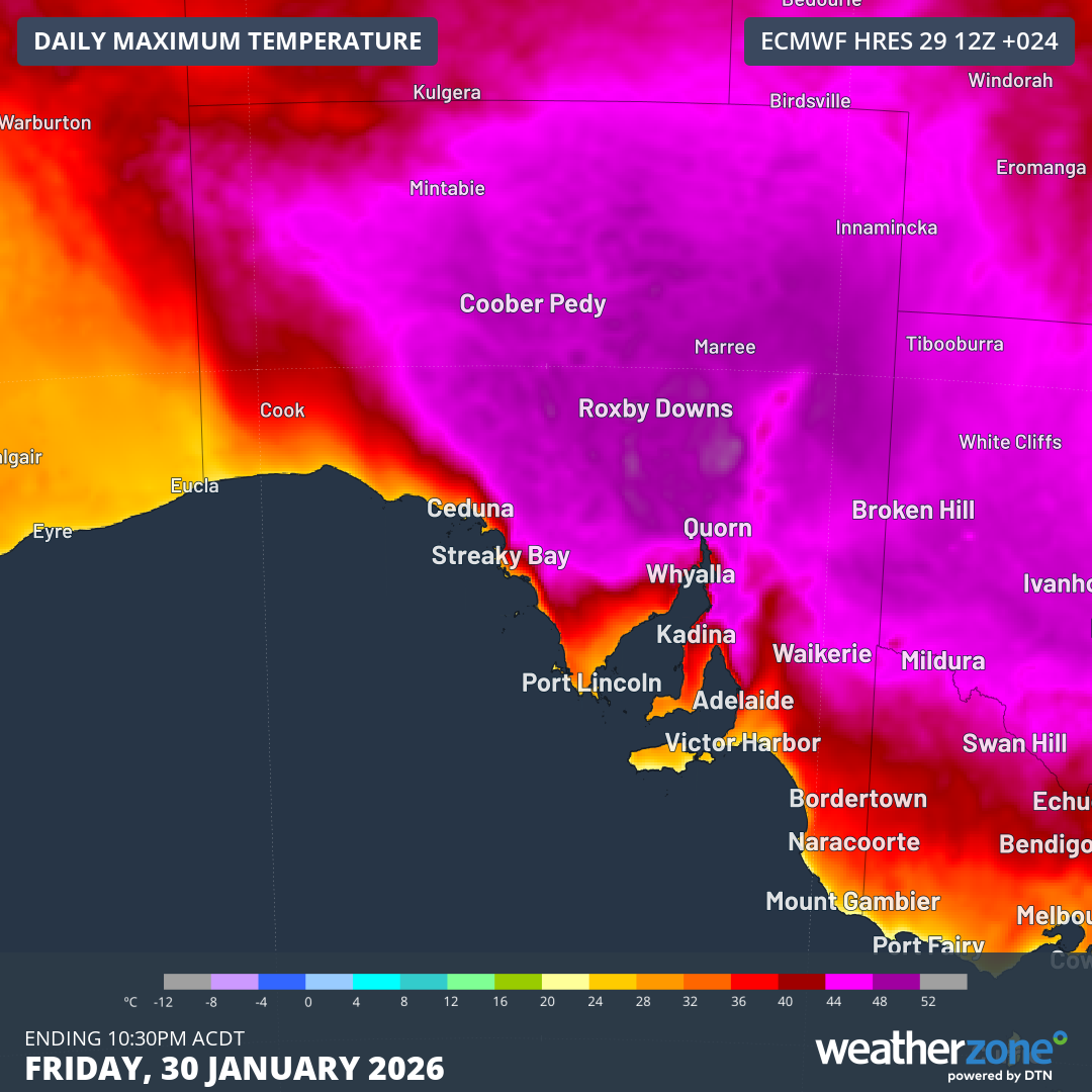 Forecast maximums according to the ECMWF model for South Australia and adjacent areas for Friday, January 30, 2026, with purple shading indicating the hottest temperatures