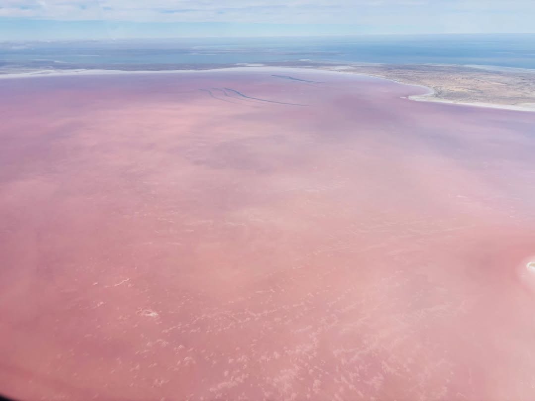 Pink water in Kati Thanda-Lake Eyre in late-November 2025. Source: chintachick / Instagr