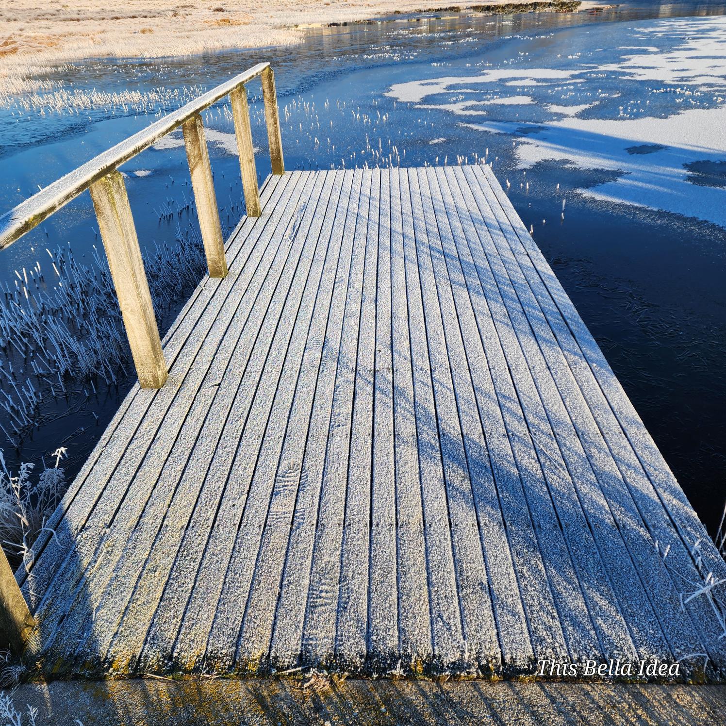 Frost at Miena on Monday, December 15, 2025. Source: @thisbellaidea / Instagram.