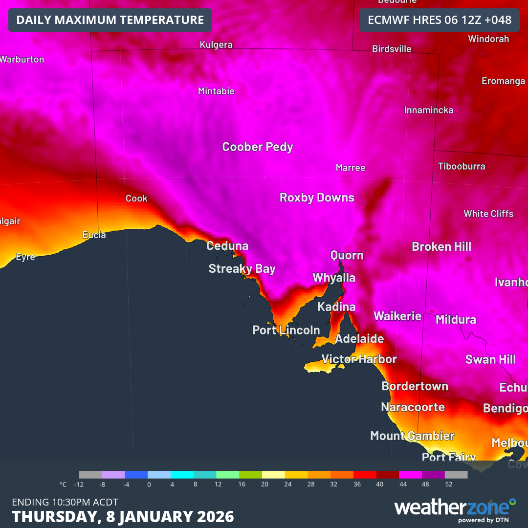 Forecast maximum temperatures over SA on Thursday, January 8, 2026. Source: Weatherzone.