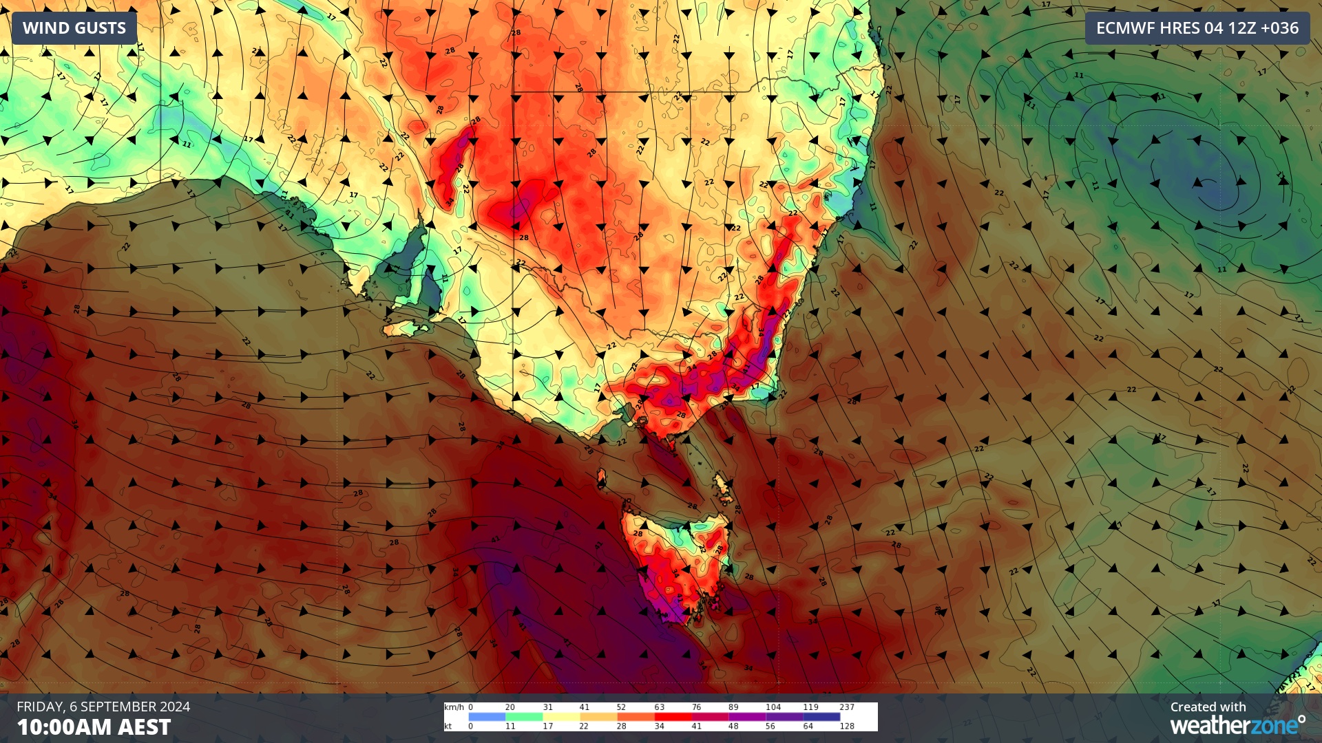 Forecast wind gusts at 10am AEST on Friday, according to the ECMWF-HRES model.