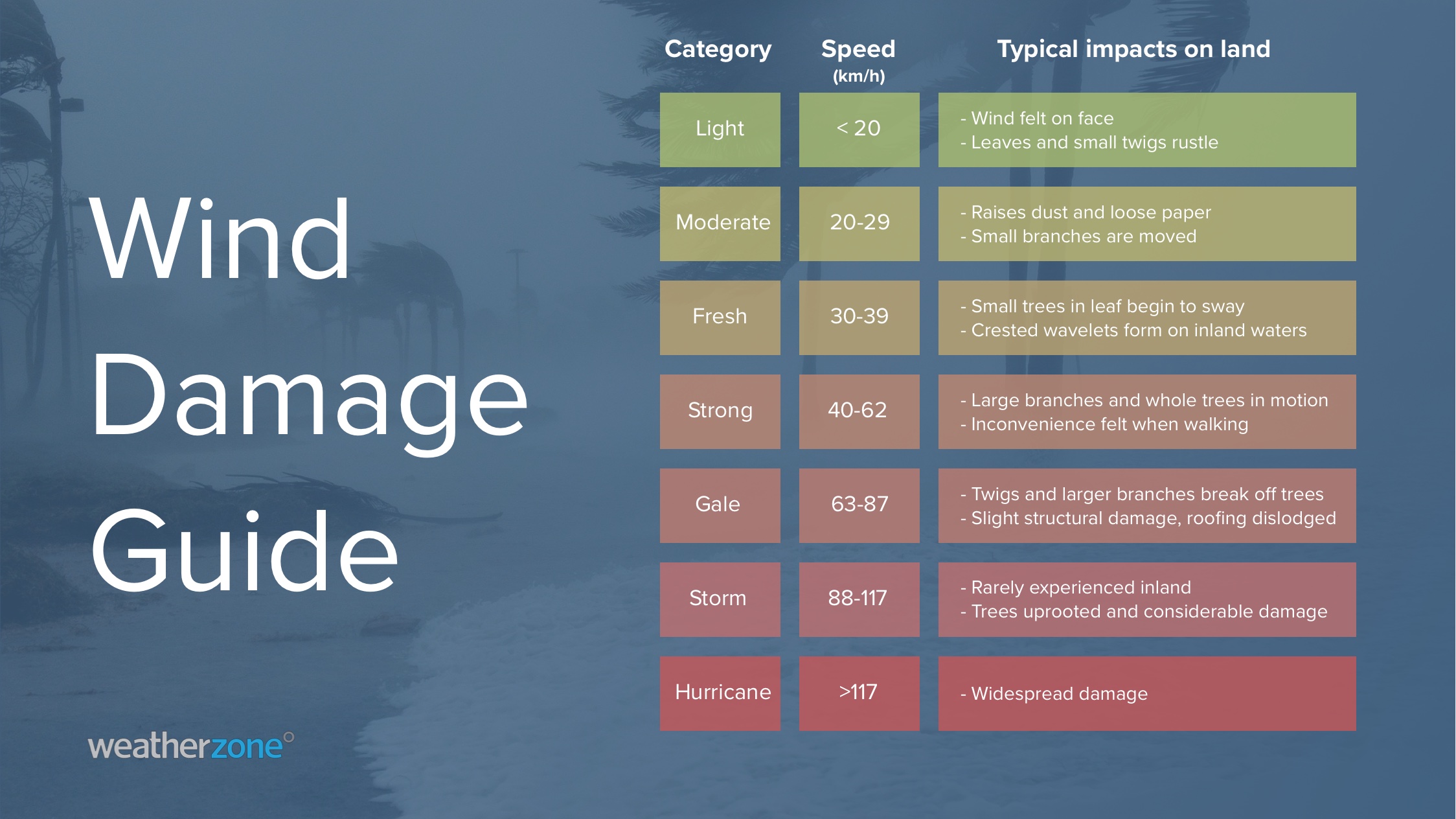 Wind Explained What Are Gales And How Strong Are Strong Winds 