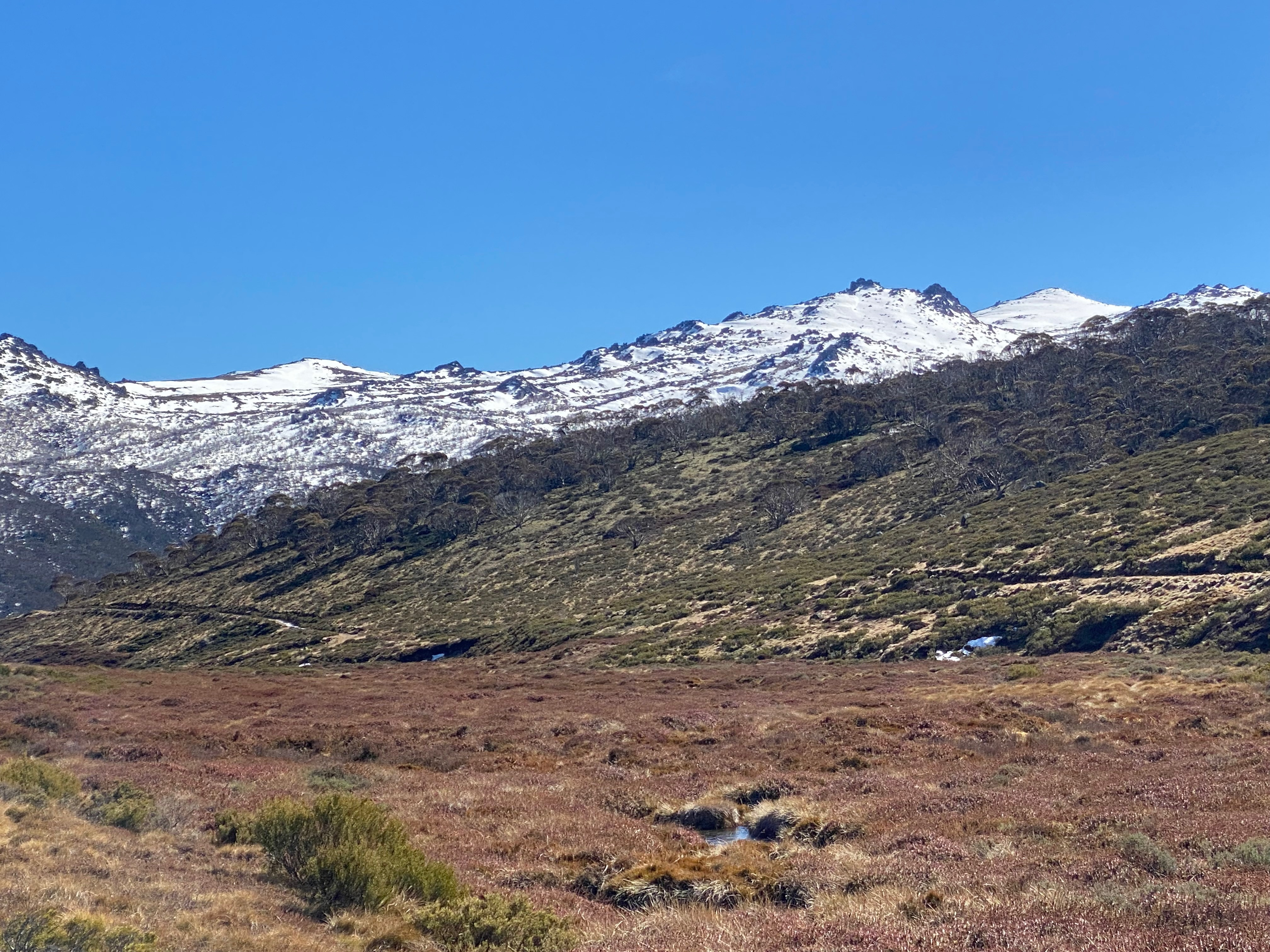 Image: An August view of the Ramshead Range in NSW near Thredbo from a snowless valley which would normally be at least partially snow-covered in an average winter. Source: Weatherzone.