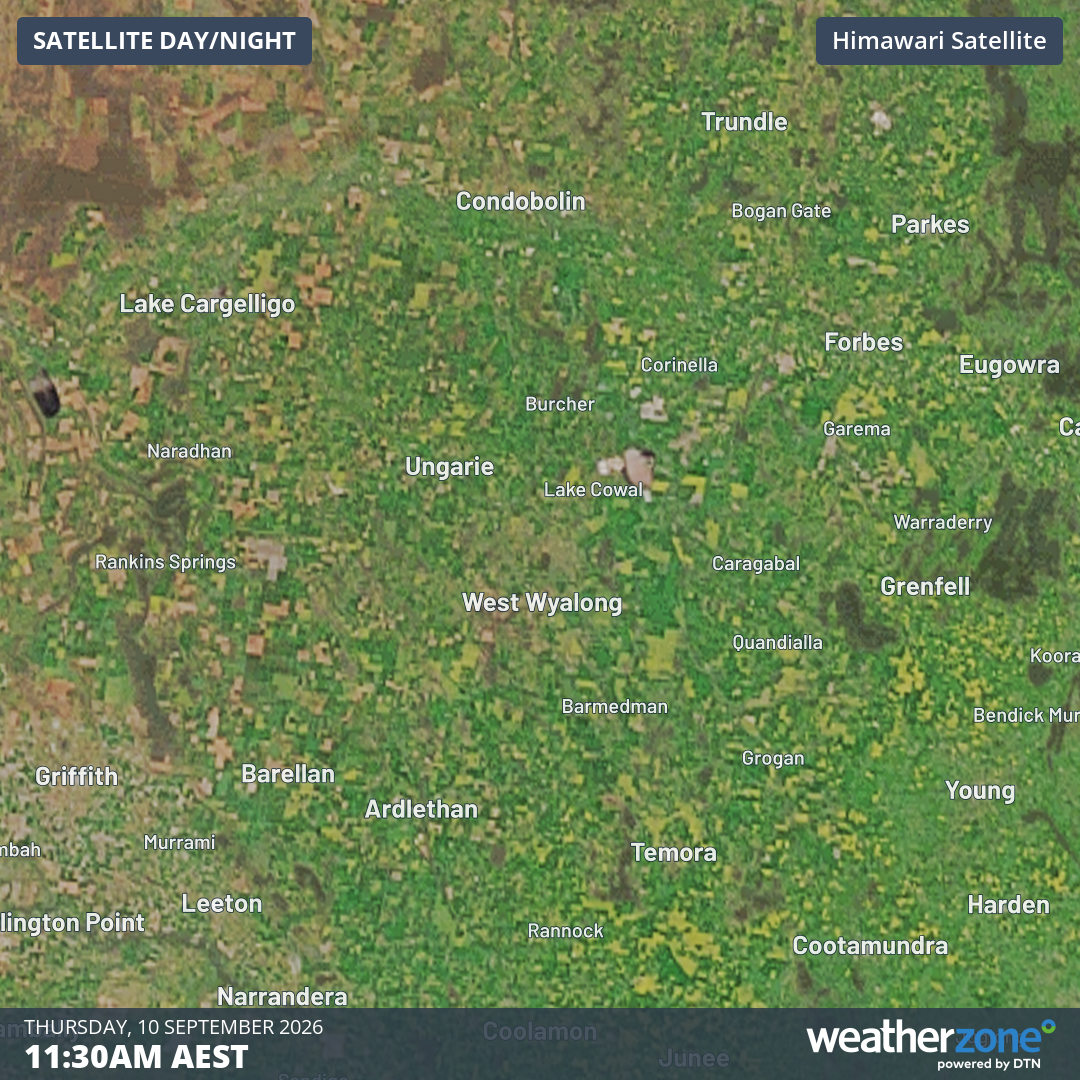 Image: Satellite view of the Central West of NSW at 11:30 am (AEST) on Thursday, September 10, 2026. Source: Weatherzone.