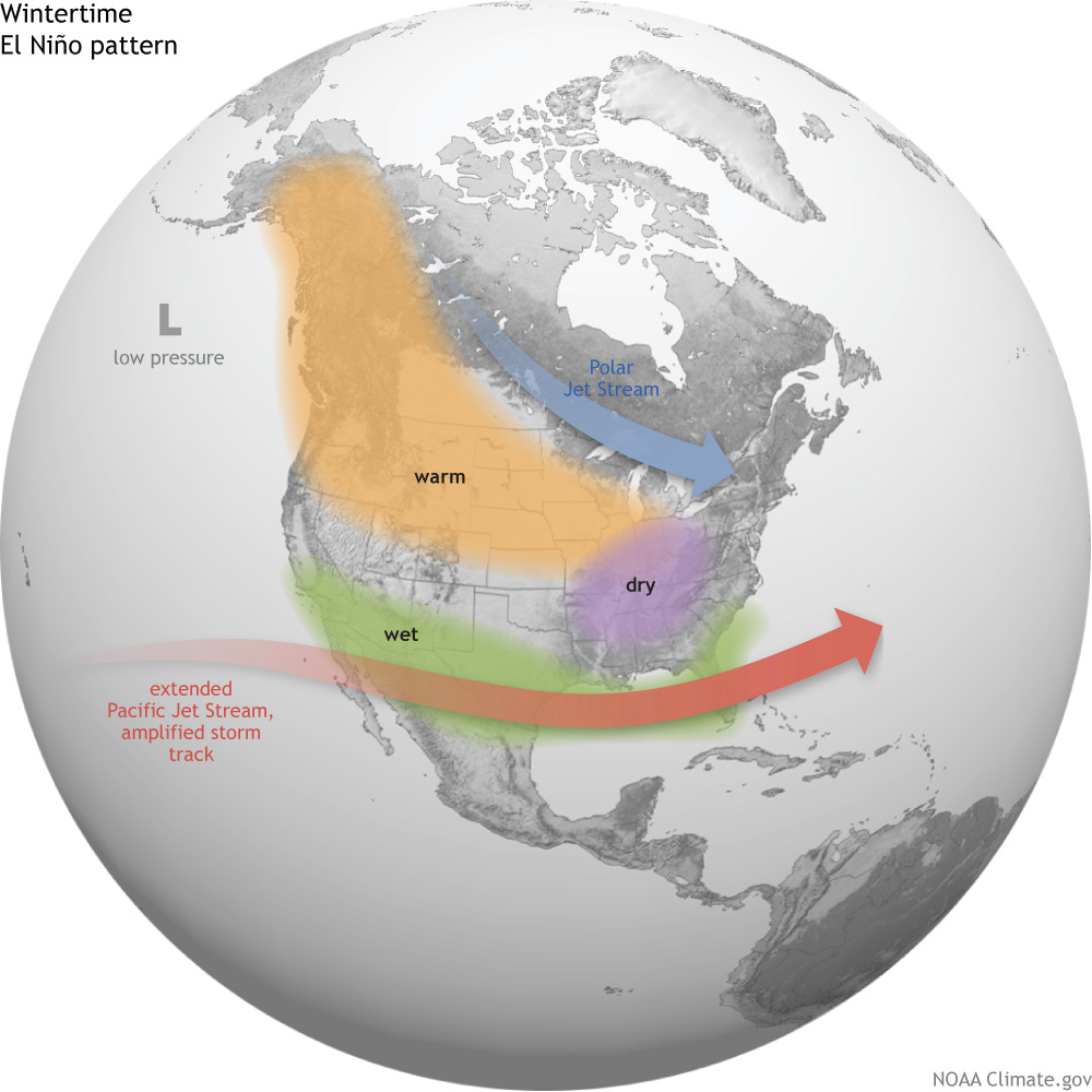 Average location of the Pacific and Polar Jet Streams and typical temperature and precipitation impacts during the winter over North America. Source: Map by Fiona Martin for NOAA Climate.gov.
