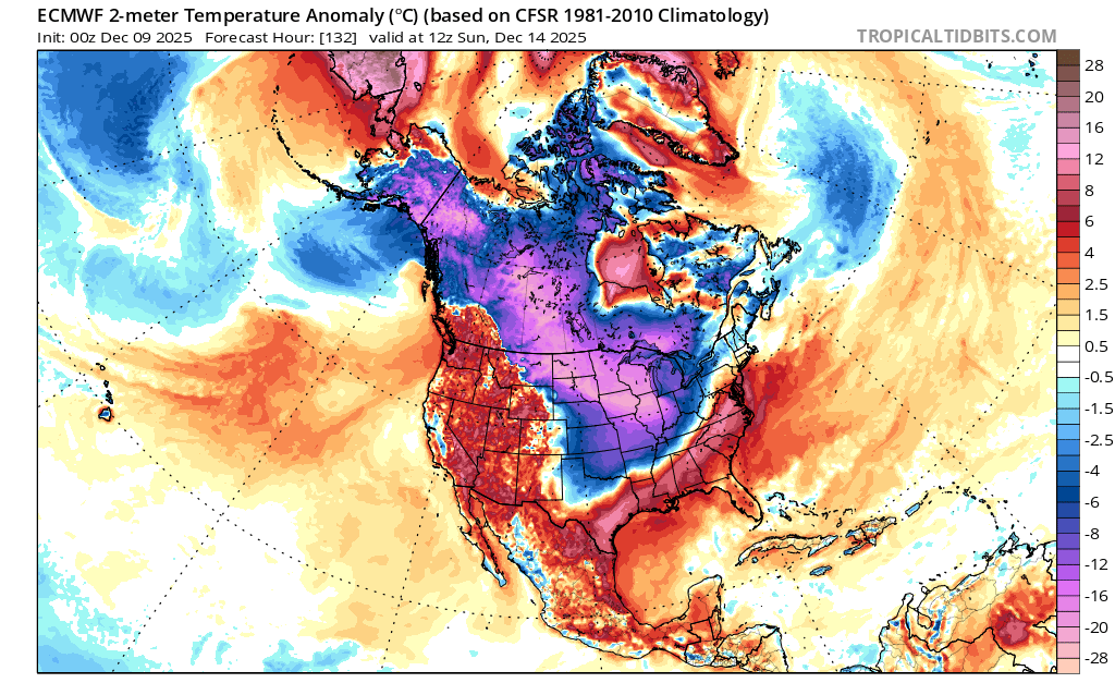 ECMWF model forecast for 12:00 UTC on Sunday December 14th of surface temperature anomalies. Source: TropicalTidbits.com