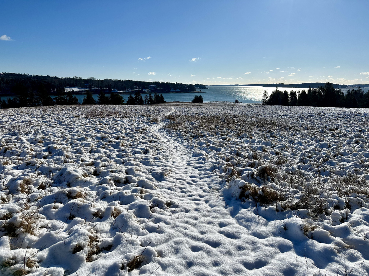 Snow in coastal Maine, a region that is susceptible to cryoseisms. Source: iStock / Douglas Rissing.