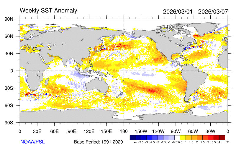 Weekly sea surface temperature anomalies for the first week of March, showing cool anomalies in the central equatorial Pacific flanked by warming seas to the west and east. Source: NOAA/PSL.